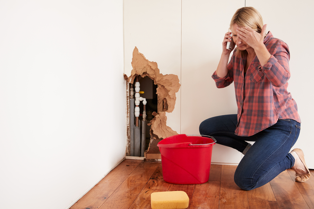 /emergency-plumber-kingston-il